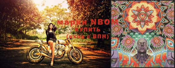крисы Киреевск