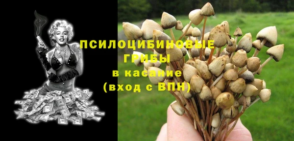 крисы Киреевск