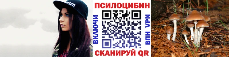 Галлюциногенные грибы Magic Shrooms  Спасск 
